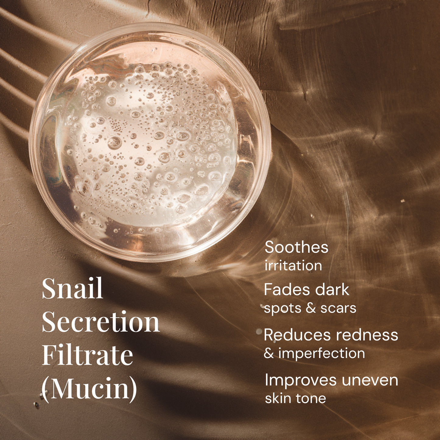 Snail Mucin Essence