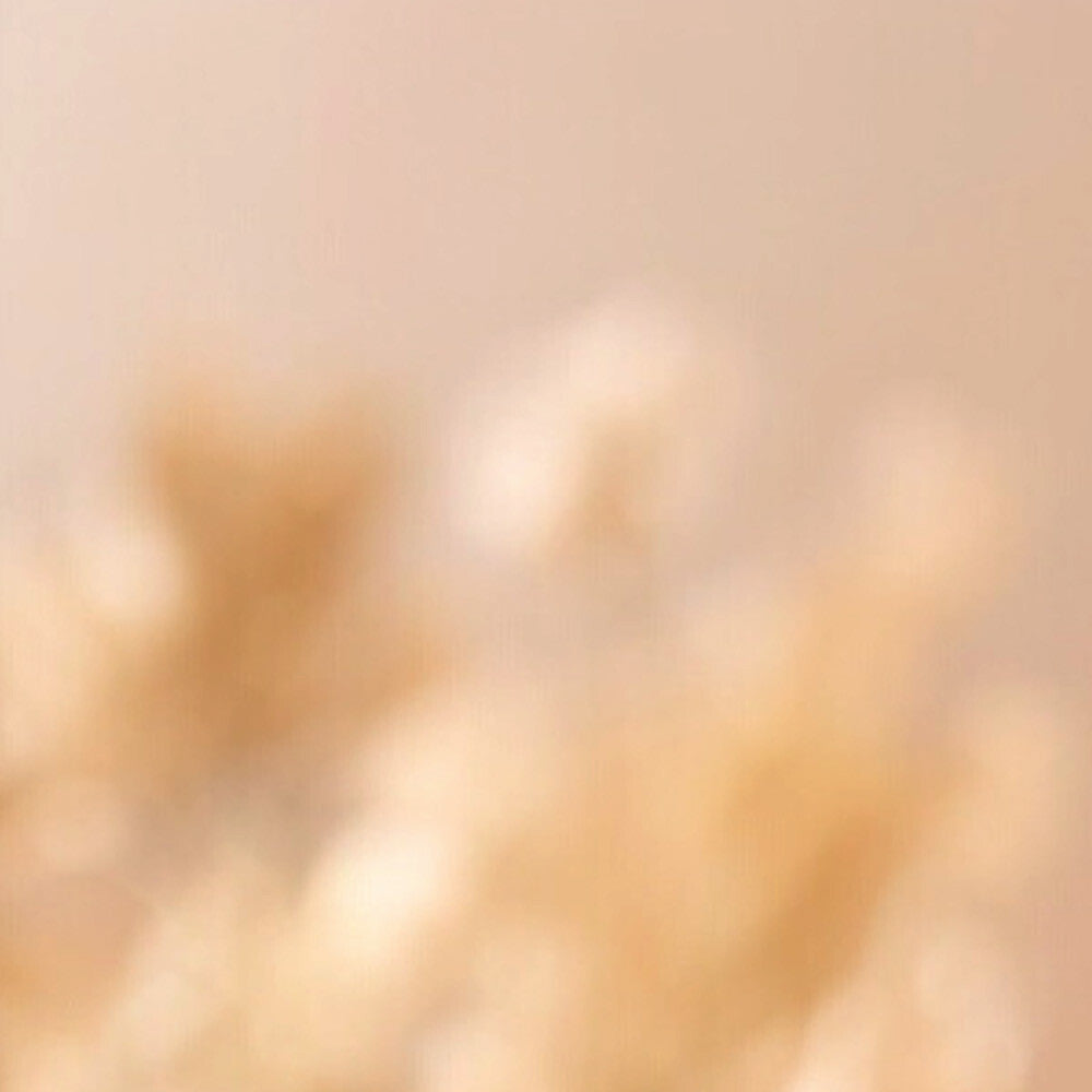 HydraSnail Mucin Essence